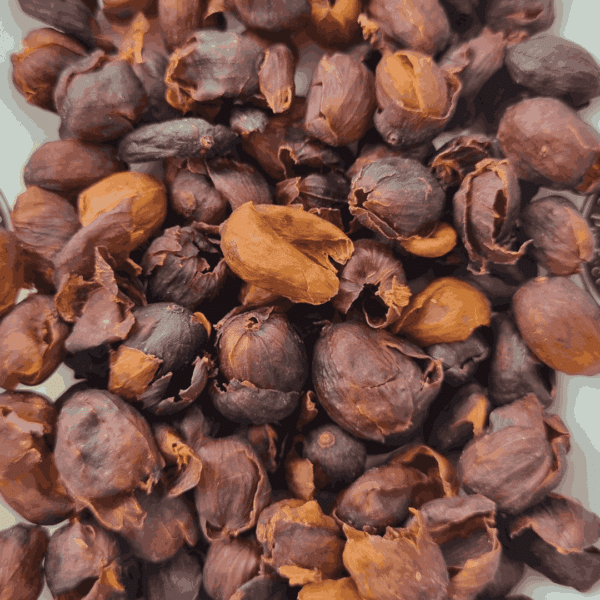 Costa Rica Cascara