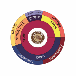 Ethiopia Guji Gogogu Gr 1 Natural