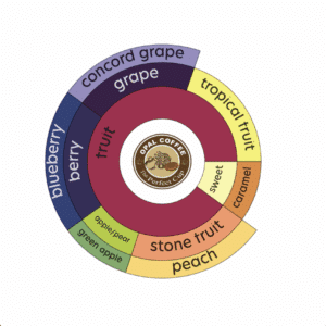 Java Preanger Malabar Natural