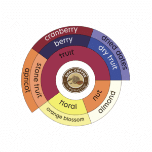 Ethiopia Yirgacheffe Edido GR2 Natural