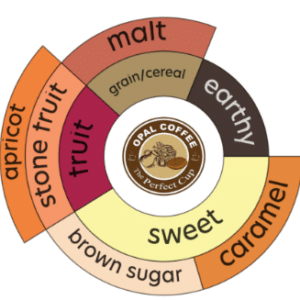 Ethiopia Guji GR4 Natural