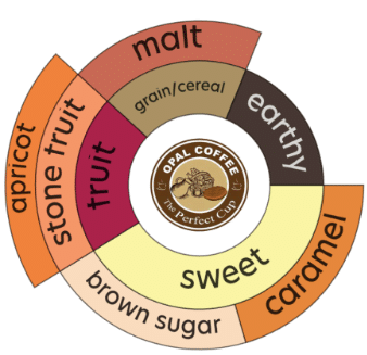 Ethiopia Guji GR4 Natural