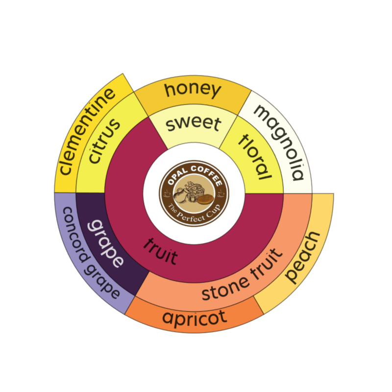 Indonesia Gunung Tilu Honey