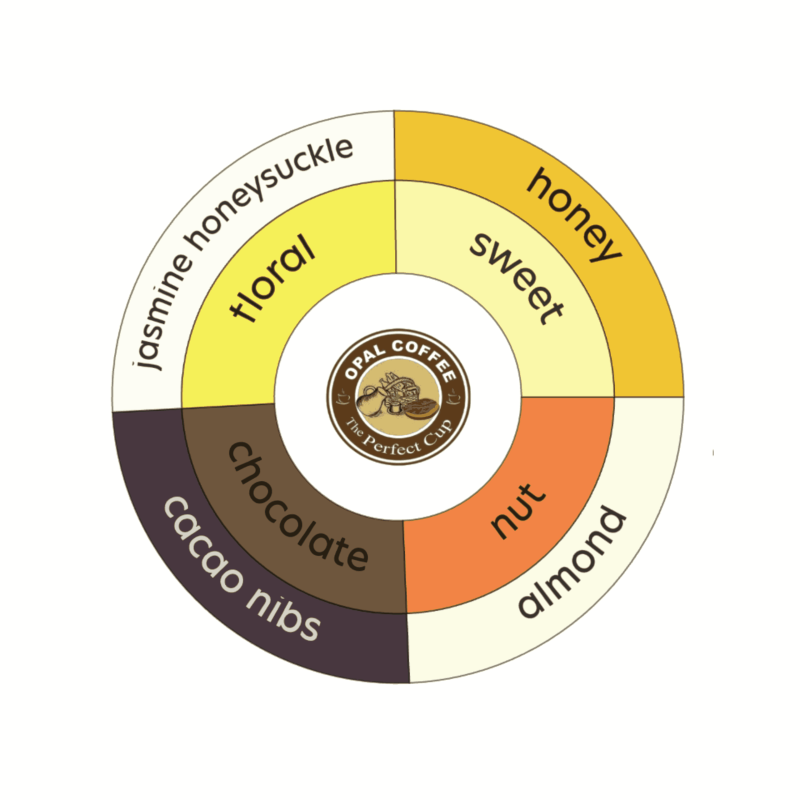 Colombia Asociación de Mujeres Rurales de San Alberto Washed