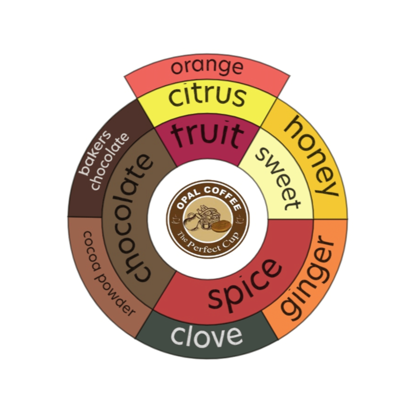 Colombia Juan Dario Gomez Honey Typica