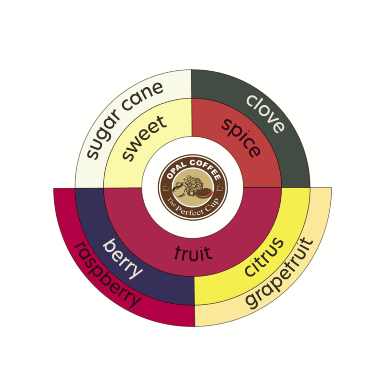 Indonesia Cianjur Honey Anaerobic