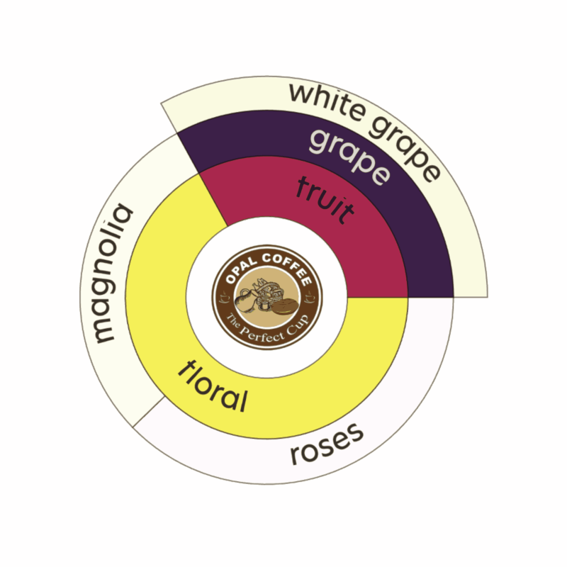 Indonesia Aurora Dew Magenta Fruits Inoculation & Yeast