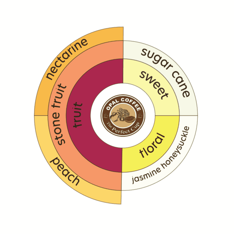 Indonesia Aurora Dew Momo Peach Inoculation & Yeast