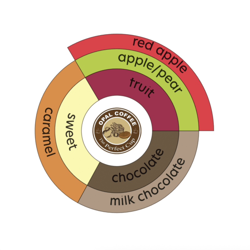 Colombia Tolima Planadas Washed
