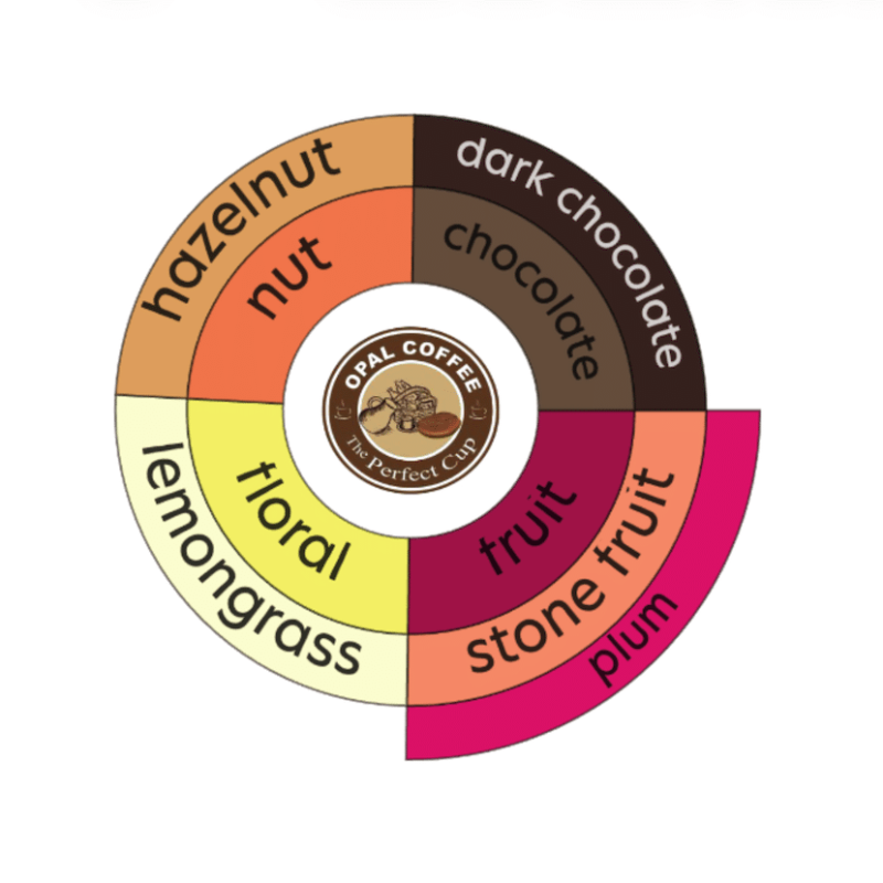 Nicaragua Jinotega Finca las Camelias