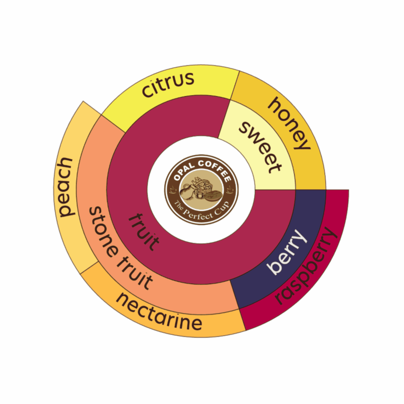 Indonesia Astro Toraja Pango Pango Jennie Edition Extended Natural