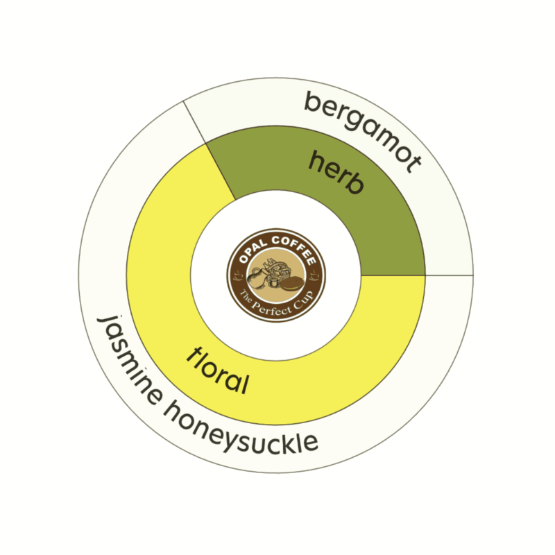 Indonesia Aurora Dew Burgundy Jasmine Inoculation & Yeast