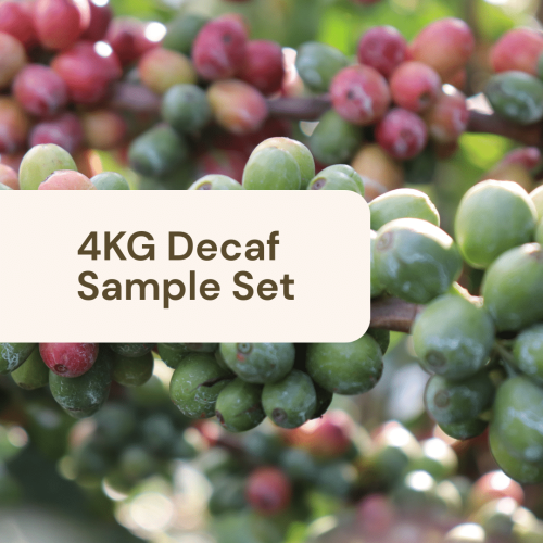 4KG Sample Set – Decaf