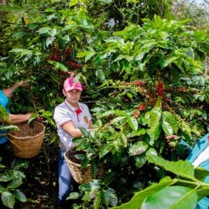 Honduras Girl Power Washed